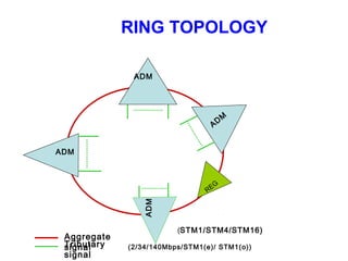 RING TOPOLOGY
ADM
ADM
AD
M
REG
ADM
Aggregate
signal
(STM1/STM4/STM16)
Tributary
signal
(2/34/140Mbps/STM1(e)/ STM1(o))
 