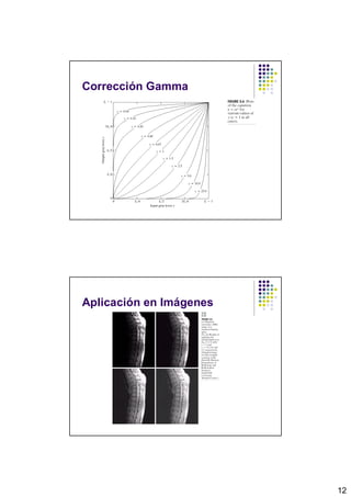 Corrección Gamma




Aplicación en Imágenes




                         12
 