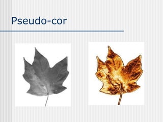 Pseudo-cor
 