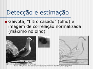 Detecção e estimação
   Gaivota, “filtro casado” (olho) e
    imagem de correlação normalizada
    (máximo no olho)




      Fonte: http://www.dca.fee.unicamp.br/dipcourse/html-dip/c6/s5/front-page.html
 