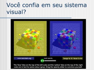 Você confia em seu sistema
visual?
 