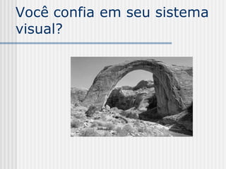 Você confia em seu sistema
visual?
 