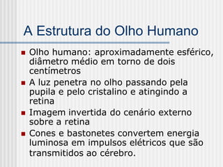 A Estrutura do Olho Humano
   Olho humano: aproximadamente esférico,
    diâmetro médio em torno de dois
    centímetros
   A luz penetra no olho passando pela
    pupila e pelo cristalino e atingindo a
    retina
   Imagem invertida do cenário externo
    sobre a retina
   Cones e bastonetes convertem energia
    luminosa em impulsos elétricos que são
    transmitidos ao cérebro.
 