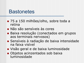 Bastonetes
   75 a 150 milhões/olho, sobre toda a
    retina
   Não são sensíveis às cores
   Baixa resolução (conectados em grupos
    aos terminais nervosos)
   Sensíveis à radiação de baixa intensidade
    na faixa visível
   Visão geral e de baixa luminosidade
   Objetos acinzentados sob baixa
    luminosidade
 