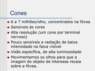 Cones
   6 a 7 milhões/olho, concentrados na fóvea
   Sensíveis às cores
   Alta resolução (um cone por terminal
    nervoso)
   Pouco sensíveis a radiação de baixa
    intensidade na faixa visível
   Visão específica, de alta luminosidade
   Movimentamos os olhos para que a
    imagem do objeto de interesse recaia
    sobre a fóvea.
 