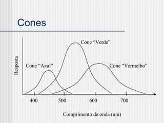 Cones
                                 Cone “Verde”
Resposta




           Cone “Azul”                       Cone “Vermelho”




            400          500        600          700

                          Comprimento de onda (nm)
 