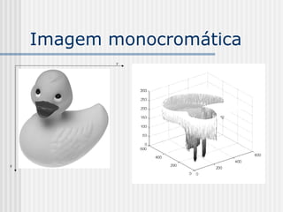 Imagem monocromática
            y




x
 