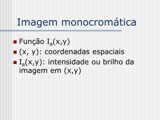 Imagem monocromática
 Função Ia(x,y)
 (x, y): coordenadas espaciais
 Ia(x,y): intensidade ou brilho da
  imagem em (x,y)
 