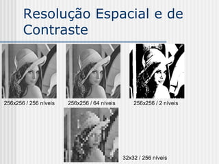 Resolução Espacial e de
       Contraste




256x256 / 256 níveis   256x256 / 64 níveis       256x256 / 2 níveis




                                             32x32 / 256 níveis
 