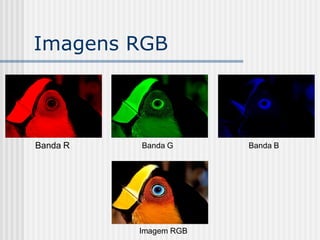 Imagens RGB




Banda R   Banda G      Banda B




          Imagem RGB
 