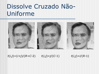 Dissolve Cruzado Não-
Uniforme




t(i,j)=(i+j)/(R+C-2)   t(i,j)=j/(C-1)   t(i,j)=i/(R-1)
 