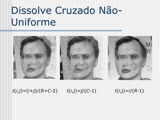 Dissolve Cruzado Não-
Uniforme




t(i,j)=(i+j)/(R+C-2)   t(i,j)=j/(C-1)   t(i,j)=i/(R-1)
 