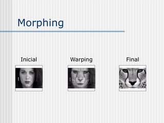 Morphing


Inicial    Warping   Final
 