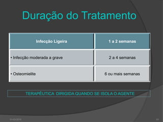 Selecção do Esquema de Antibioterapia30-03-201060