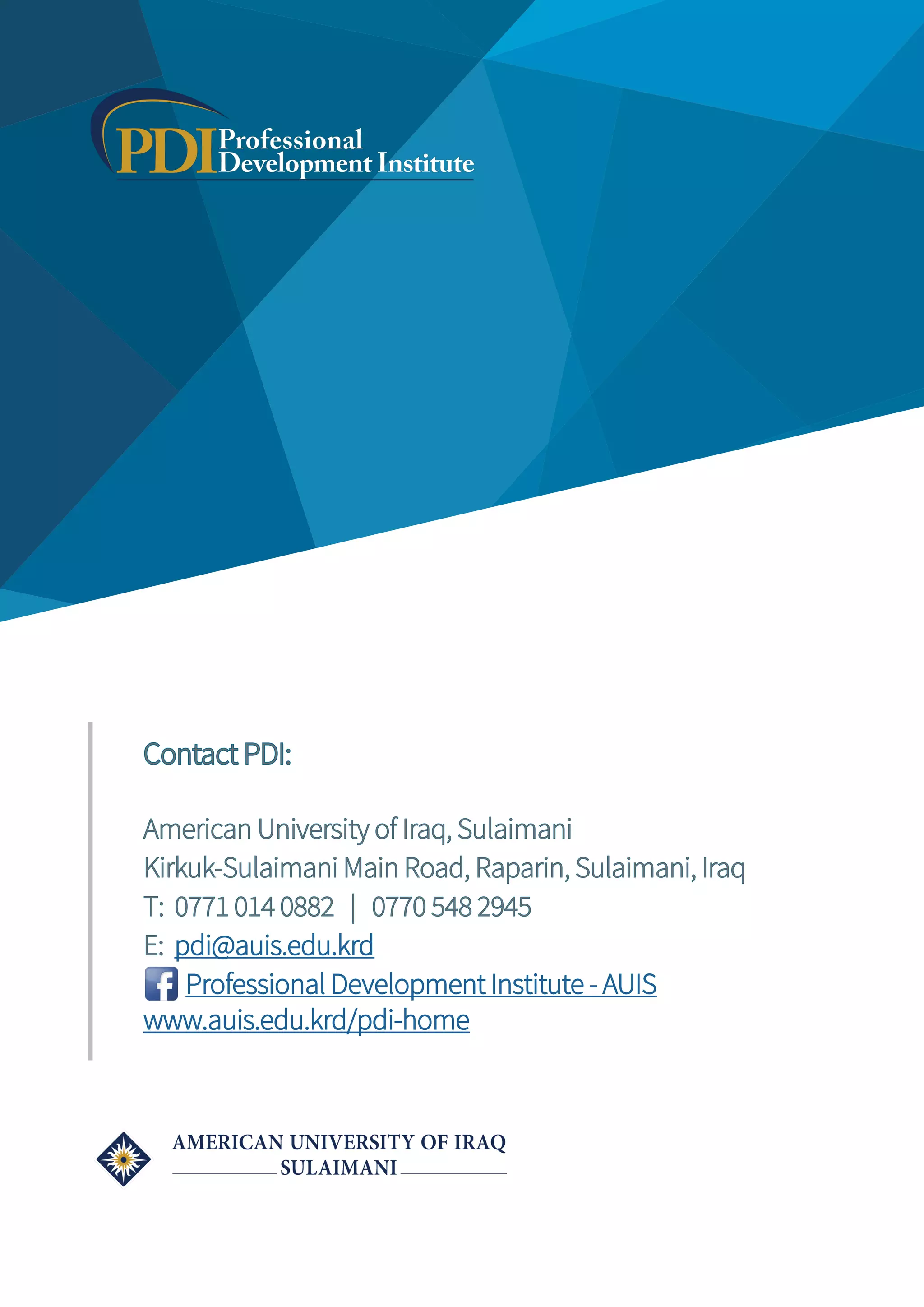 Pdi catalog 2017 PDF