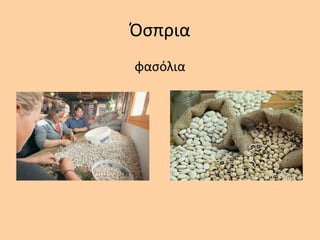 Όςπρια
φαςόλια
 