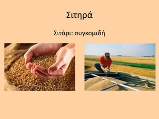 Σιτθρά
Σιτάρι: ςυγκομιδι
 