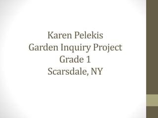 Karen Pelekis
Garden Inquiry Project
Grade 1
Scarsdale, NY
 