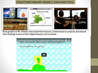 STRUCTURED INQUIRY GRADE 1: THE PLANT CYCLE
 