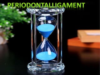 PERIODONTAL LIGAMENT
 