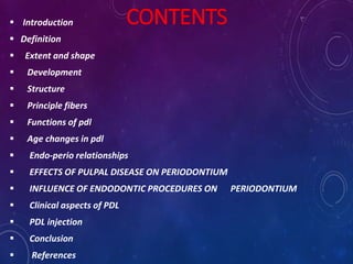 CONTENTS Introduction
 Definition
 Extent and shape
 Development
 Structure
 Principle fibers
 Functions of pdl
 Age changes in pdl
 Endo-perio relationships
 EFFECTS OF PULPAL DISEASE ON PERIODONTIUM
 INFLUENCE OF ENDODONTIC PROCEDURES ON PERIODONTIUM
 Clinical aspects of PDL
 PDL injection
 Conclusion
 References
 