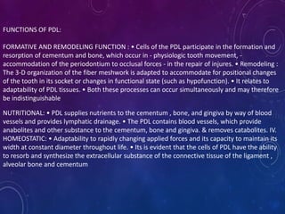 FUNCTIONS OF PDL:
FORMATIVE AND REMODELING FUNCTION : • Cells of the PDL participate in the formation and
resorption of cementum and bone, which occur in - physiologic tooth movement, -
accommodation of the periodontium to occlusal forces - in the repair of injures. • Remodeling :
The 3-D organization of the fiber meshwork is adapted to accommodate for positional changes
of the tooth in its socket or changes in functional state (such as hypofunction). • It relates to
adaptability of PDL tissues. • Both these processes can occur simultaneously and may therefore
be indistinguishable
NUTRITIONAL: • PDL supplies nutrients to the cementum , bone, and gingiva by way of blood
vessels and provides lymphatic drainage. • The PDL contains blood vessels, which provide
anabolites and other substance to the cementum, bone and gingiva. & removes catabolites. IV.
HOMEOSTATIC: • Adaptability to rapidly changing applied forces and its capacity to maintain its
width at constant diameter throughout life. • Its is evident that the cells of PDL have the ability
to resorb and synthesize the extracellular substance of the connective tissue of the ligament ,
alveolar bone and cementum
 