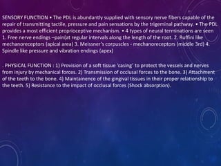 SENSORY FUNCTION • The PDL is abundantly supplied with sensory nerve fibers capable of the
repair of transmitting tactile, pressure and pain sensations by the trigeminal pathway. • The PDL
provides a most efficient proprioceptive mechanism. • 4 types of neural terminations are seen
1. Free nerve endings –pain(at regular intervals along the length of the root. 2. Ruffini like
mechanoreceptors (apical area) 3. Meissner’s corpuscles - mechanoreceptors (middle 3rd) 4.
Spindle like pressure and vibration endings (apex)
. PHYSICAL FUNCTION : 1) Provision of a soft tissue ‘casing’ to protect the vessels and nerves
from injury by mechanical forces. 2) Transmission of occlusal forces to the bone. 3) Attachment
of the teeth to the bone. 4) Maintainence of the gingival tissues in their proper relationship to
the teeth. 5) Resistance to the impact of occlusal forces (Shock absorption).
 