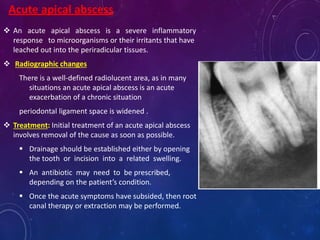  An acute apical abscess is a severe inflammatory
response to microorganisms or their irritants that have
leached out into the periradicular tissues.
 Radiographic changes
There is a well-defined radiolucent area, as in many
situations an acute apical abscess is an acute
exacerbation of a chronic situation
periodontal ligament space is widened .
 Treatment: Initial treatment of an acute apical abscess
involves removal of the cause as soon as possible.
 Drainage should be established either by opening
the tooth or incision into a related swelling.
 An antibiotic may need to be prescribed,
depending on the patient’s condition.
 Once the acute symptoms have subsided, then root
canal therapy or extraction may be performed.
Acute apical abscess
 