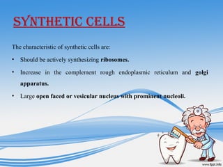 SyNTHETIC CELLS
The characteristic of synthetic cells are:
• Should be actively synthesizing ribosomes.
• Increase in the complement rough endoplasmic reticulum and golgi
apparatus.
• Large open faced or vesicular nucleus with prominent nucleoli.
 