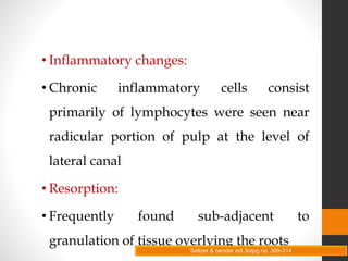 • Inflammatory changes:
• Chronic inflammatory cells consist
primarily of lymphocytes were seen near
radicular portion of pulp at the level of
lateral canal
• Resorption:
• Frequently found sub-adjacent to
granulation of tissue overlying the roots
Seltzer & bender edi 3rdpg no. 309-314
 