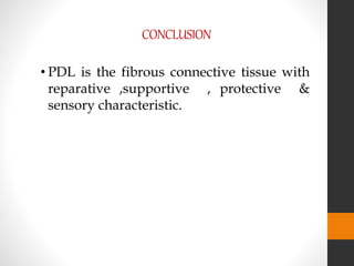 CONCLUSION
• PDL is the fibrous connective tissue with
reparative ,supportive , protective &
sensory characteristic.
 