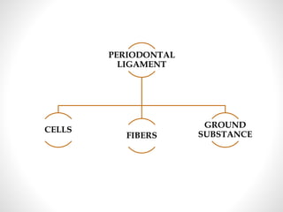 PERIODONTAL
LIGAMENT
CELLS
FIBERS
GROUND
SUBSTANCE
 