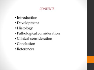 CONTENTS
• Introduction
• Development
• Histology
• Pathological consideration
• Clinical consideration
• Conclusion
• References
 