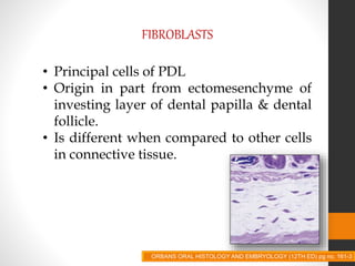 FIBROBLASTS
• Principal cells of PDL
• Origin in part from ectomesenchyme of
investing layer of dental papilla & dental
follicle.
• Is different when compared to other cells
in connective tissue.
ORBANS ORAL HISTOLOGY AND EMBRYOLOGY (12TH ED) pg no. 161-3
 