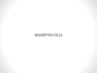 RESORPTIVE CELLS
 