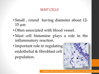 MAST CELLS
• Small , round having diameter about 12-
15 µm
• Often associated with blood vessel.
• Mast cell histamine plays a role in the
inflammatory reaction.
• Important role in regulating
endothelial & fibroblast cell
population.
ORBANS ORAL HISTOLOGY AND EMBRYOLOGY (12TH ED) pg no. 168-9
 