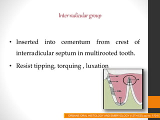 Interradiculargroup
• Inserted into cementum from crest of
interradicular septum in multirooted tooth.
• Resist tipping, torquing , luxation
ORBANS ORAL HISTOLOGY AND EMBRYOLOGY (12TH ED) pg no. 170-5
 