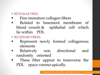 • RETICULAR FIBER:
 Fine immature collagen fibers
 Related to basement membrane of
blood vessels & epithelial cell which
lie within PDL
• SECONDARY FIBERS:
 Represent newly formed collagenous
elements
 Relatively non directional and
randomly oriented
 These fiber appear to transverse the
PDL space corono-apically.
ORBANS ORAL HISTOLOGY AND EMBRYOLOGY (12TH ED) pg no. 170-5
 