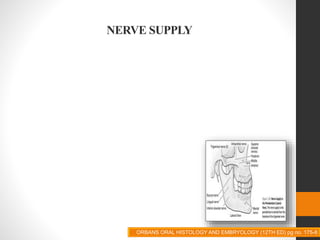 NERVE SUPPLY
ORBANS ORAL HISTOLOGY AND EMBRYOLOGY (12TH ED) pg no. 175-8
 