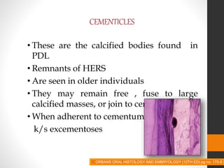 CEMENTICLES
• These are the calcified bodies found in
PDL
• Remnants of HERS
• Are seen in older individuals
• They may remain free , fuse to large
calcified masses, or join to cementum
• When adherent to cementum
k/s excementoses
ORBANS ORAL HISTOLOGY AND EMBRYOLOGY (12TH ED) pg no. 175-8
 
