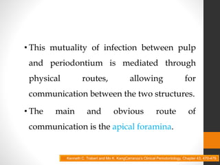 • This mutuality of infection between pulp
and periodontium is mediated through
physical routes, allowing for
communication between the two structures.
• The main and obvious route of
communication is the apical foramina.
Kenneth C. Trabert and Mo K. KangCarranza’s Clinical Periodontology, Chapter 43, 470-479.
 