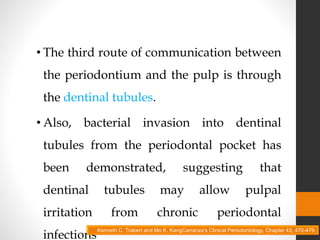 • The third route of communication between
the periodontium and the pulp is through
the dentinal tubules.
• Also, bacterial invasion into dentinal
tubules from the periodontal pocket has
been demonstrated, suggesting that
dentinal tubules may allow pulpal
irritation from chronic periodontal
infections
Kenneth C. Trabert and Mo K. KangCarranza’s Clinical Periodontology, Chapter 43, 470-479.
 