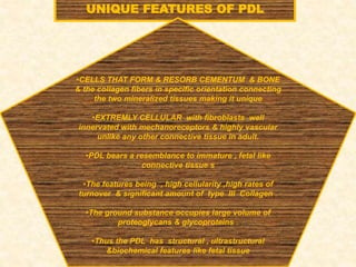 UNIQUE FEATURES OF PDL
•CELLS THAT FORM & RESORB CEMENTUM & BONE
& the collagen fibers in specific orientation connecting
the two mineralized tissues making it unique
•EXTREMLY CELLULAR with fibroblasts well
innervated with mechanoreceptors & highly vascular
unlike any other connective tissue in adult.
•PDL bears a resemblance to immature , fetal like
connective tissue s
•The features being , high cellularity ,high rates of
turnover & significant amount of type III Collagen .
•The ground substance occupies large volume of
proteoglycans & glycoproteins .
•Thus the PDL has structural , ultrastructural
&biochemical features like fetal tissue
 