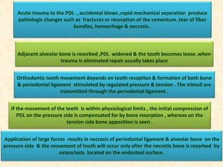 Acute trauma to the PDL , accidental blows ,rapid mechanical separation produce
pathologic changes such as fractures or resorption of the cementum ,tear of fiber
bundles, hemorrhage & necrosis .
Adjacent alveolar bone is resorbed ,PDL widened & the tooth becomes loose .when
trauma is eliminated repair usually takes place
Orthodontic tooth movement depends on tooth resoption & formation of both bone
& periodontal ligament stimulated by regulated pressure & tension . The stimuli are
transmitted through the periodontal ligament .
If the movement of the teeth is within physiological limits , the initial compression of
PDL on the pressure side is compensated for by bone resorption , whereas on the
tension side bone apposition is seen .
Application of large forces results in necrosis of periodontal ligament & alveolar bone on the
pressure side & the movement of tooth will occur only after the necrotic bone is resorbed by
osteoclasts located on the endosteal surface.
 