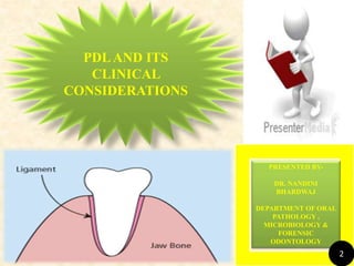 PDLAND ITS
CLINICAL
CONSIDERATIONS
PRESENTED BY-
DR. NANDINI
BHARDWAJ
DEPARTMENT OF ORAL
PATHOLOGY ,
MICROBIOLOGY &
FORENSIC
ODONTOLOGY
2
 