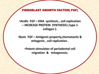 FIBROBLAST GROWTH FACTOR( FGF)
•Acidic FGF – DNA synthesis , cell replication
– INCREASE PROTEIN SYNTHESIS ( type 1
collagen ).
•Basic FGF – Antigenic property,chemotactic &
mitogenic , cell replication .
•Potent stimulator of periodontal cell
migration & mitogenesis.
 