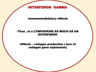 INTERFERON GAMMA
•Immunomodulatory effects
•Thus , is a LYMPHOKINE AS MUCH AS AN
INTERFERON
•Affects – collagen production ( turn of
collagen gene expression)
 