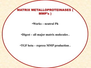 MATRIX METALLOPROTEINASES (
MMP’s )
•Works – neutral Ph
•Digest – all major matrix molecules .
•TGF beta – repress MMP production .
 