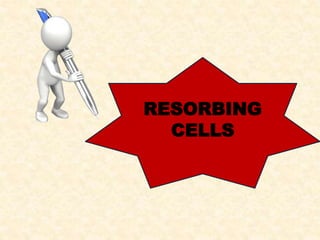 RESORBING
CELLS
 
