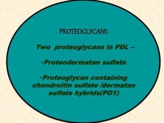 PROTEOGLYCANS
Two proteoglycans in PDL –
•Proteodermatan sulfate
•Proteoglycan containing
chondroitin sulfate /dermatan
sulfate hybrids(PG1)
 